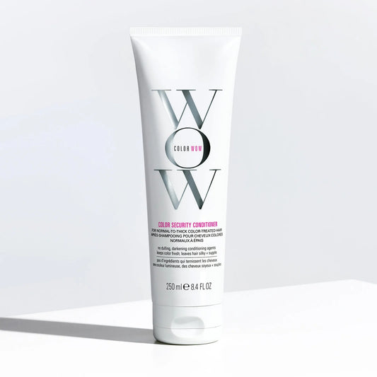 Colour Security Conditioner (Normal to Thick Hair)